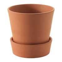 Terracotta Flower Pot