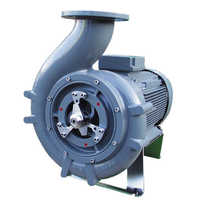 Chopper Pumps
