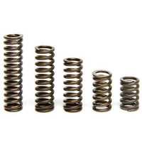 Carbon spring