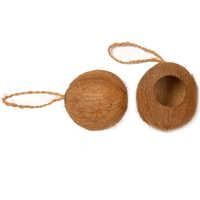 Coconut bird feeder