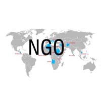 Ngo consultancy