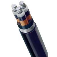 Polycab Armoured Cable