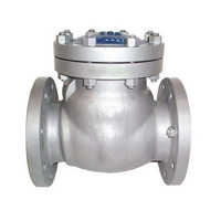 Globe valve castings