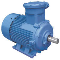 Single Phase Ac Induction Motor