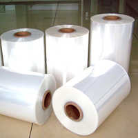 Pvc shrink film plant