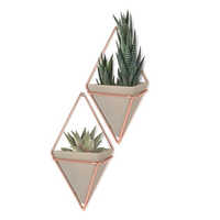 Wall planter