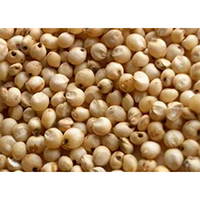Berseem seed