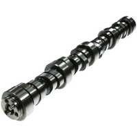 Engine Camshaft