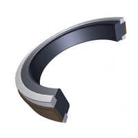 Ptfe piston seals