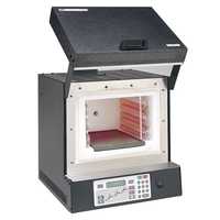 Burnout furnace