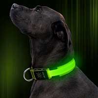 Led dog collar