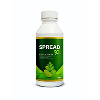 Anionic wetting agent