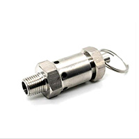 Stainless steel safety valve
