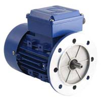Marathon Ac Motor