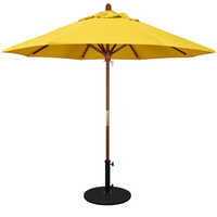 Pool umbrella