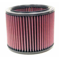 Air intake filter