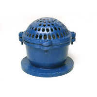 Cast Iron Foot Valve