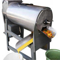 Fruit pulp machine