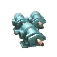 Ss rotary gear pump