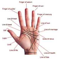 हस्तरेखा समाधान