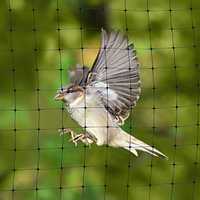 Bird protection netting