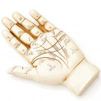 हस्तरेखा सलाहकार