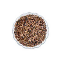 Cassia Tora