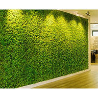 Artificial green wall