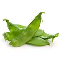 Broad bean