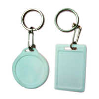Plastic Keychain