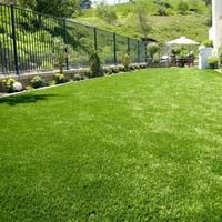 Residential artificial grass