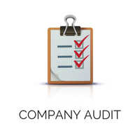 Company Audit Services