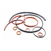 Encapsulated o rings