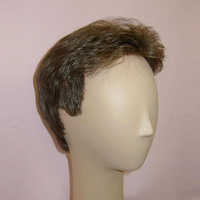 Mens wigs