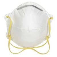 Professional Dust Mask