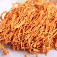 Cordyceps Militaris