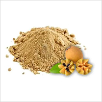 Sapota powder