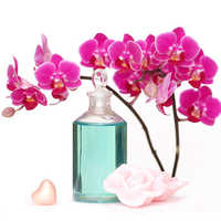 Natural fragrances