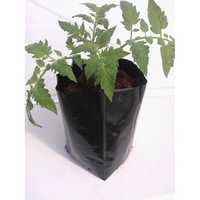 Planter bags