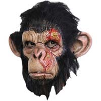 Monkey mask
