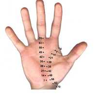 हस्तरेखा विशेषज्ञ