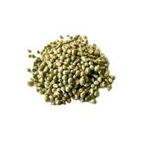 Green millets