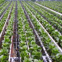 Farm consultants