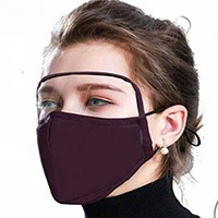 Mask with eye shield