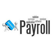 Payroll Consultant