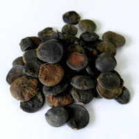 Griffonia Seed