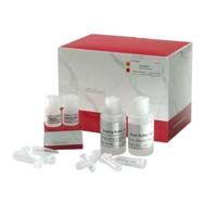 Rna isolation kit