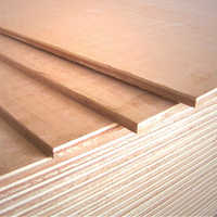 Okoume Plywood