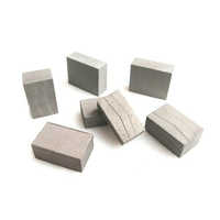 Diamond Segments