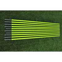 Agility slalom poles